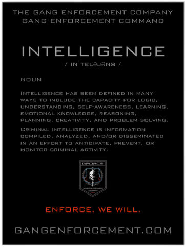 Definition of Intelligence Poster